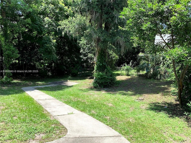 325 E Plymouth, Deland, FL 32724 - view of green lawn