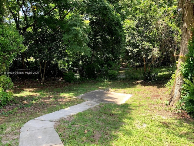 325 E Plymouth, Deland, FL 32724 - view of green lawn