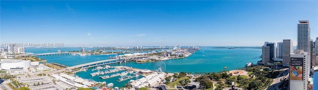 244 Biscayne Blvd Unit 3703, Miami, FL 33132 - view of urban area featuring a large body of water, a marina, and a notable bridge