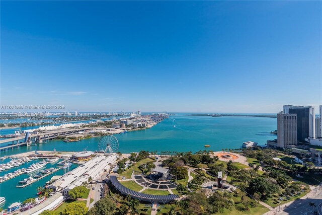 244 Biscayne Blvd Unit 3703, Miami, FL 33132 - view of urban area with numerous boat docks and a nearby body of water