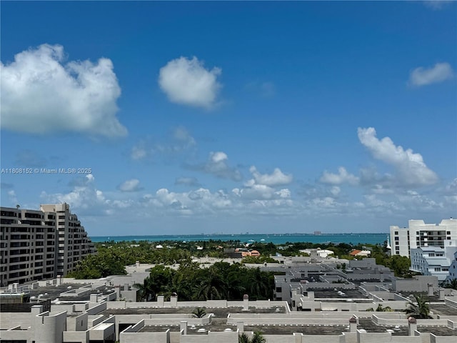 251 Crandon Blvd Unit 904, Key Biscayne, FL 33149 - water view featuring nearby urban area