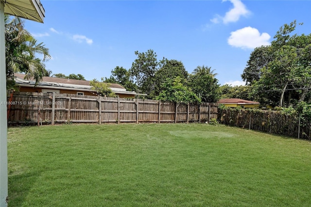 778 NW 146th St, Miami, FL 33168 - view of yard