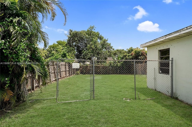 778 NW 146th St, Miami, FL 33168 - view of yard