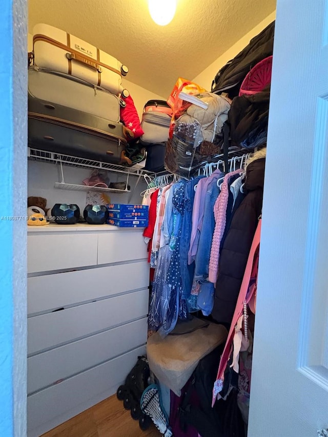 13729 SW 171st Ln, Miami, FL 33177 - spacious closet featuring wood finished floors