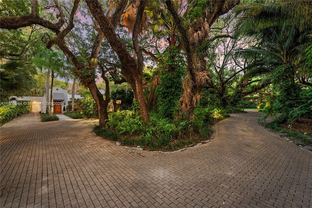 5465 Banyan Trl, Coral Gables, FL 33156 - view of surrounding community