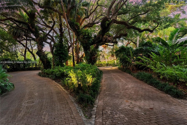 5465 Banyan Trl, Coral Gables, FL 33156 - view of home's community with decorative driveway