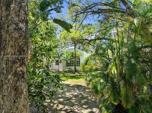 5465 Banyan Trl, Coral Gables, FL 33156 - view of yard