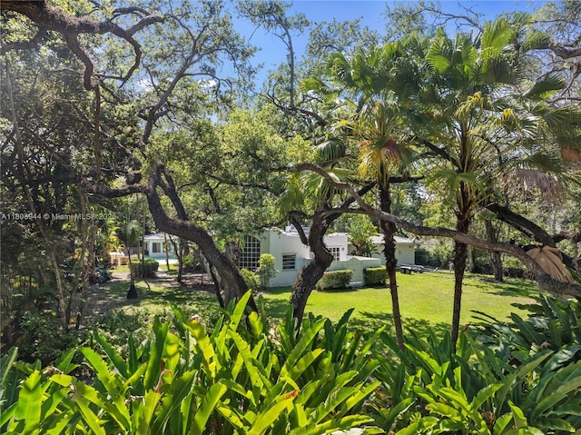 5465 Banyan Trl, Coral Gables, FL 33156 - view of grassy yard