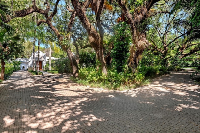 5465 Banyan Trl, Coral Gables, FL 33156 - view of decorative road