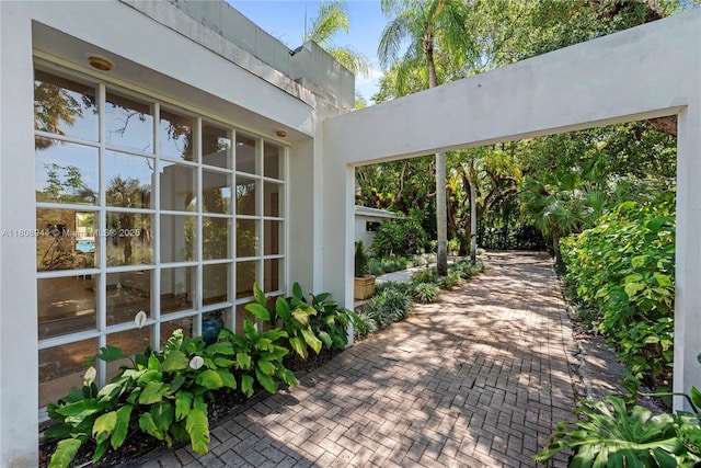 5465 Banyan Trl, Coral Gables, FL 33156 - view of patio
