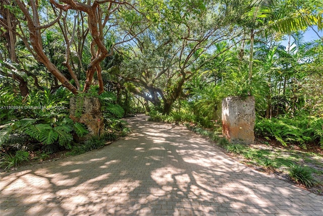 5465 Banyan Trl, Coral Gables, FL 33156 - view of property's community