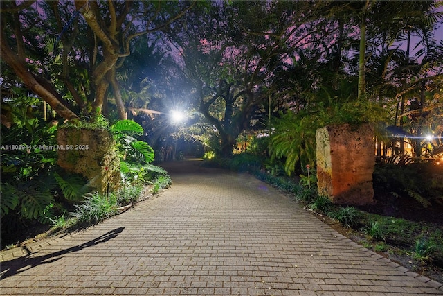 5465 Banyan Trl, Coral Gables, FL 33156 - view of home's community