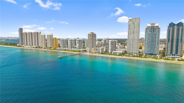 17375 Collins Ave Unit 1108, Sunny Isles Beach, FL 33160 - water view with skyline