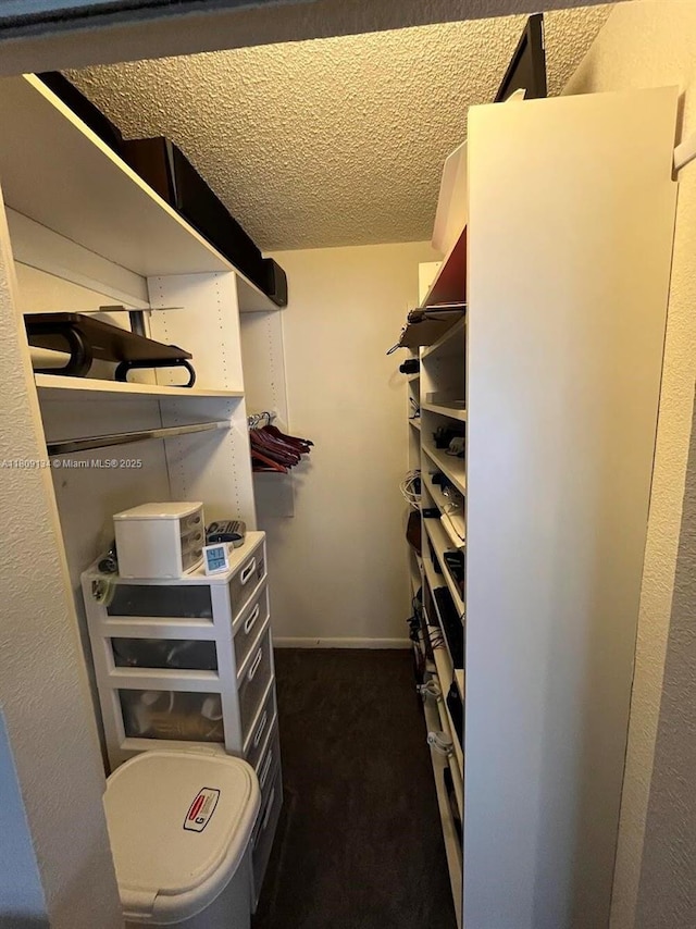 9144 W Atlantic Blvd Unit 832, Coral Springs, FL 33071 - walk in closet with dark carpet