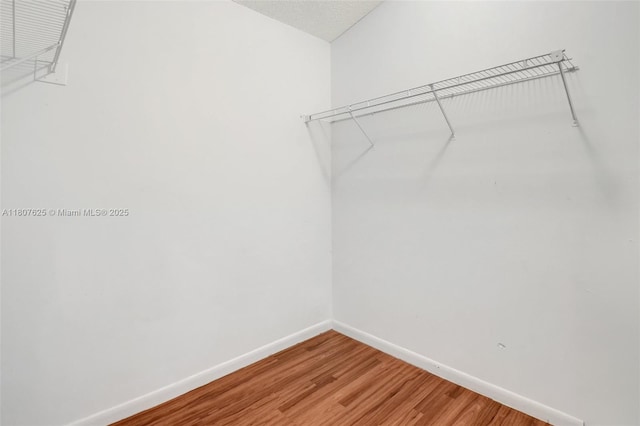 6160 Camp Lee Rd, West Palm Beach, FL 33417 - spacious closet featuring light wood finished floors