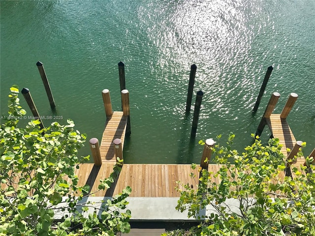 9940 W Bay Harbor Dr Unit 4E-S, Bay Harbor Islands, FL 33154 - dock area featuring a water view