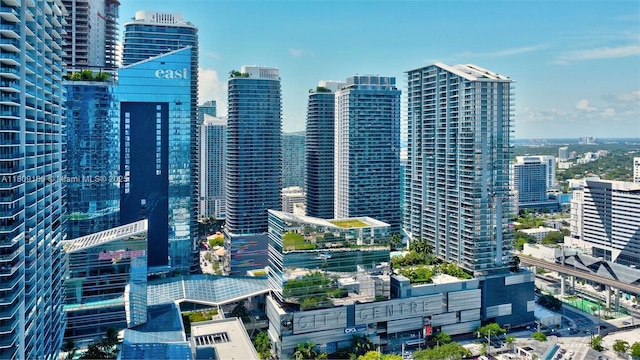 68 SE 6th St Unit 1203, Miami, FL 33131 - city view