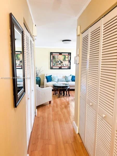 11321 SW 162nd Ter, Miami, FL 33157 - hall featuring light wood-type flooring and ornamental molding