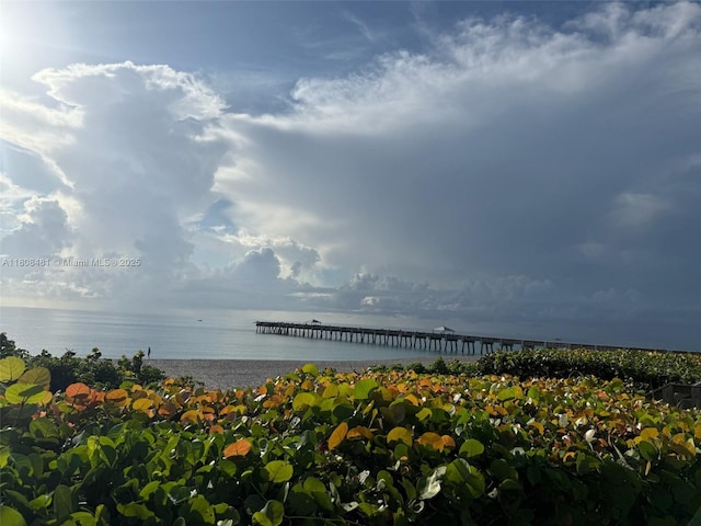 4161 S US Highway 1 Unit G2, Jupiter, FL 33477 - photo 62