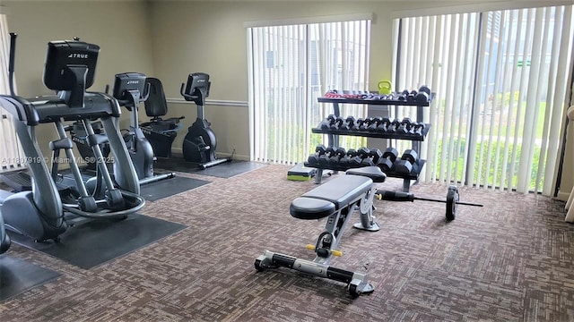 7950 W Mcnab Rd Unit 214, Tamarac, FL 33321 - exercise room featuring carpet flooring