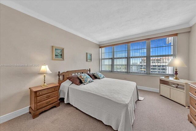 3111 N Ocean Dr Unit 904, Hollywood, FL 33019 - bedroom featuring ornamental molding, light carpet, multiple windows, and baseboards