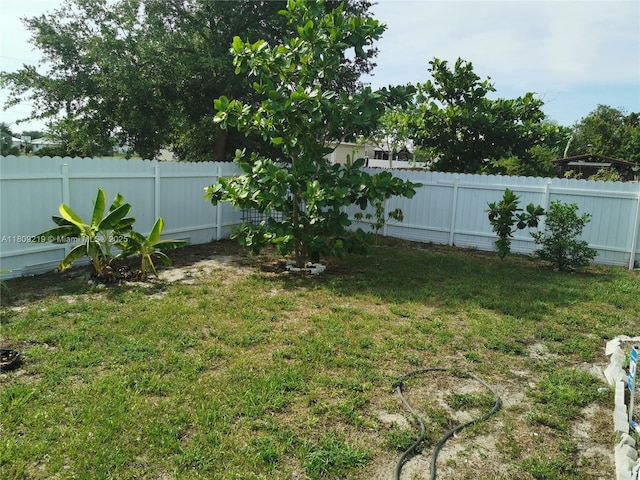 2116 5th Pl, Cape Coral, FL 33909 - view of yard