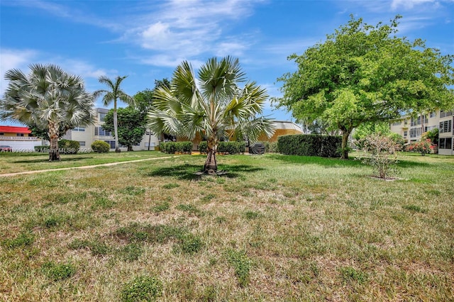 4441 NW 16th St Unit J108, Lauderhill, FL 33313 - view of green lawn