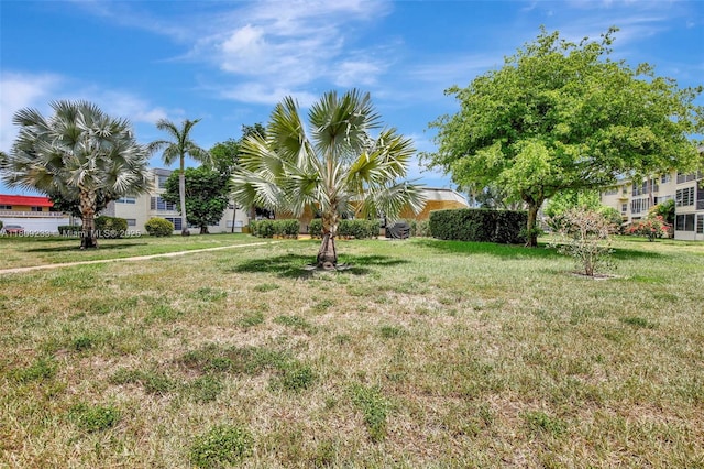 4441 NW 16th St Unit J108, Lauderhill, FL 33313 - view of grassy yard