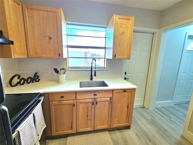 1490 NW 43rd Ave Unit 301, Lauderhill, FL 33313 - kitchen featuring a sink, light wood-type flooring, and light countertops