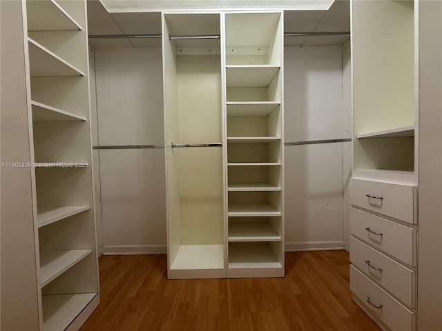 9255 SW 125th Ave Unit 304R, Miami, FL 33186 - walk in closet with wood finished floors and a drop ceiling