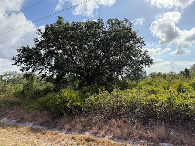 555 S Live Oak St, Clewiston, FL 33440