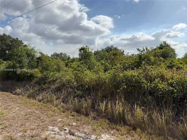 555 S Live Oak St, Clewiston, FL 33440