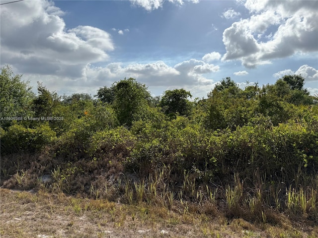 555 S Live Oak St, Clewiston, FL 33440