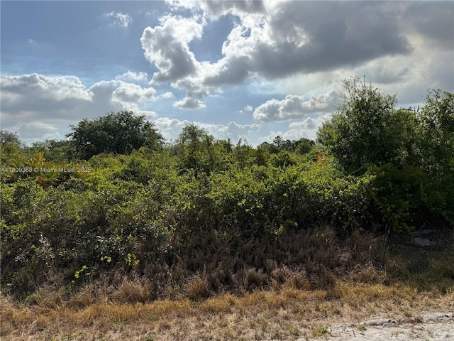 555 S Live Oak St, Clewiston, FL 33440