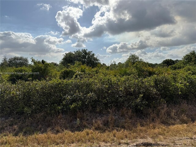 555 S Live Oak St, Clewiston, FL 33440