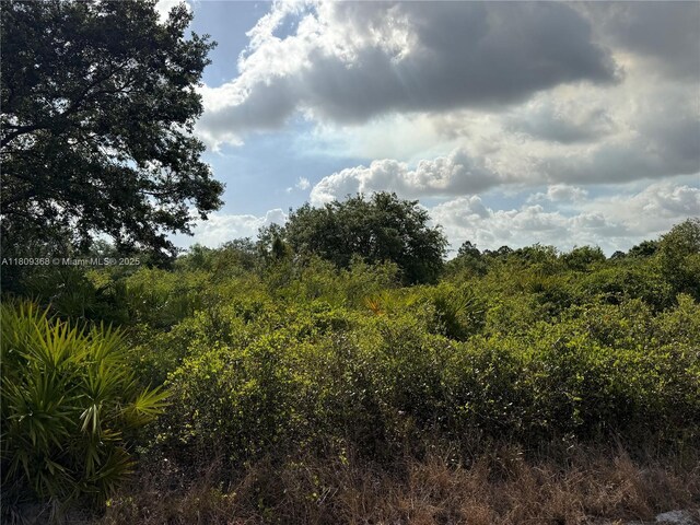 555 S Live Oak St, Clewiston, FL 33440