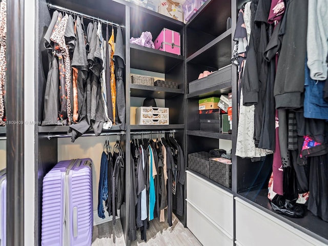 14474 SW 144th Ter, Miami, FL 33186 - spacious closet with wood finished floors