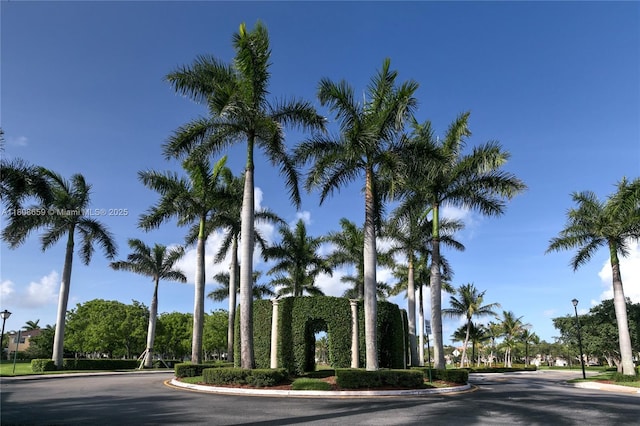 1270 Weeping Willow Way, Hollywood, FL 33019 - view of asphalt street with street lighting and curbs