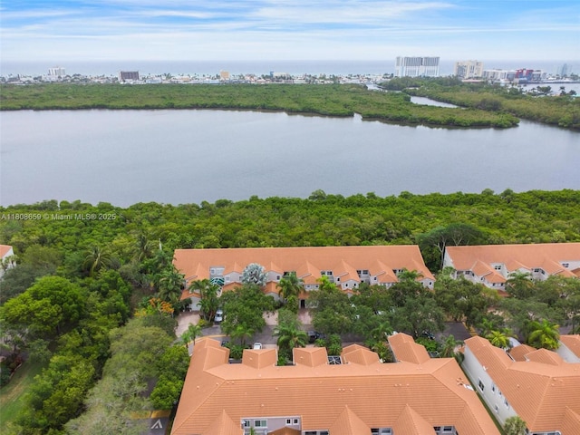 1270 Weeping Willow Way, Hollywood, FL 33019 - photo 26
