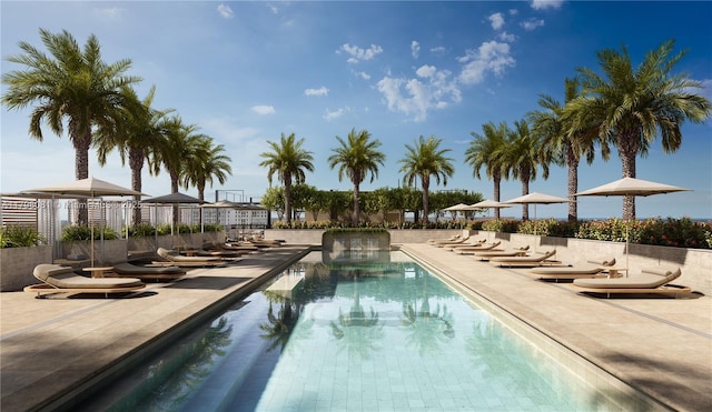 4241 Aurora St Unit 703, Coral Gables, FL 33146 - community pool featuring a patio area