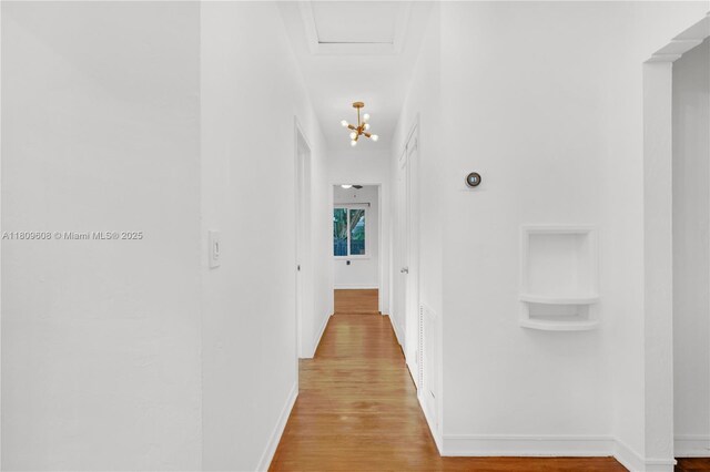 152 NW 103rd St, Miami Shores, FL 33150 - hall featuring light wood-type flooring and baseboards