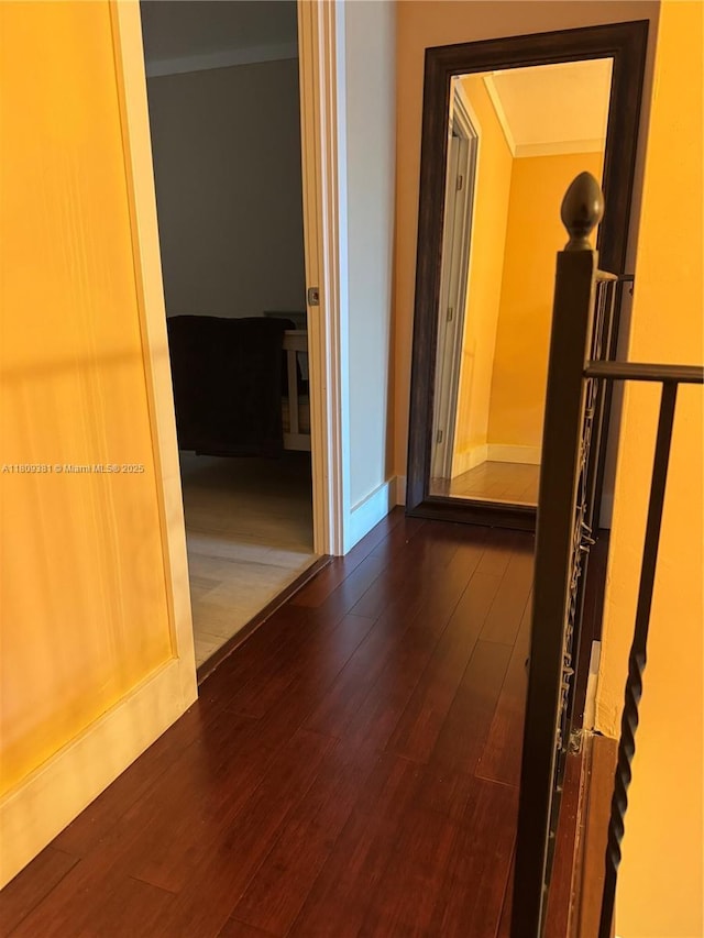 2200 Monroe St Unit 33, Hollywood, FL 33020 - hall featuring crown molding, dark wood finished floors, and baseboards