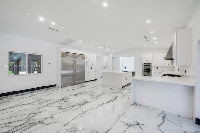 5121 SW 210th Ter, Southwest Ranches, FL 33332 - kitchen featuring appliances with stainless steel finishes, a sink, vaulted ceiling, light countertops, and recessed lighting