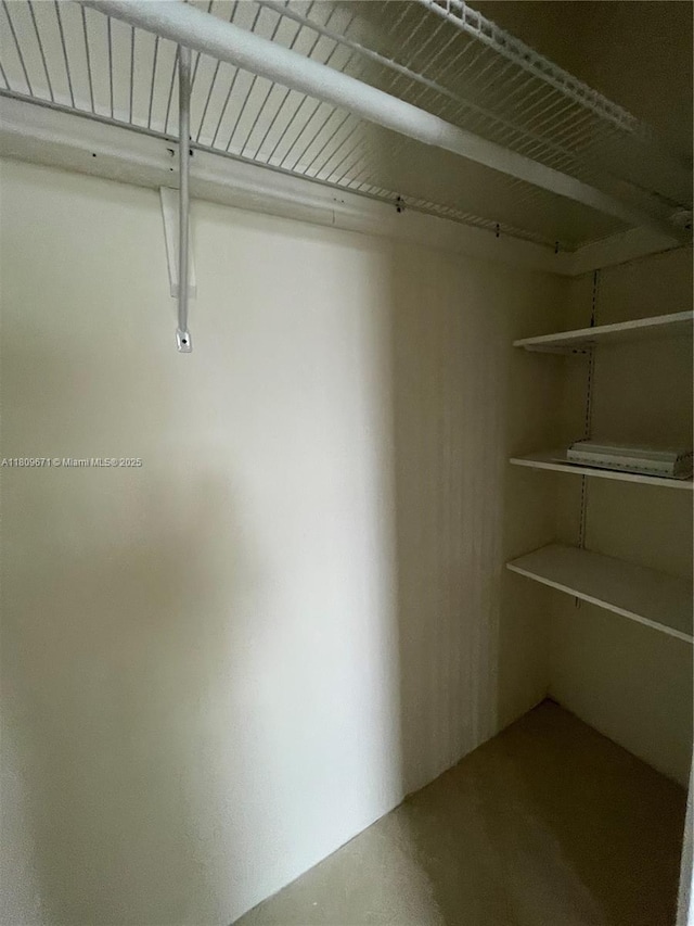 421 NE 1st St Unit 119, Hallandale Beach, FL 33009 - view of walk in closet