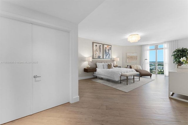 17301 Biscayne Blvd Unit 2210, North Miami Beach, FL 33160 - bedroom featuring light wood finished floors, baseboards, and a closet