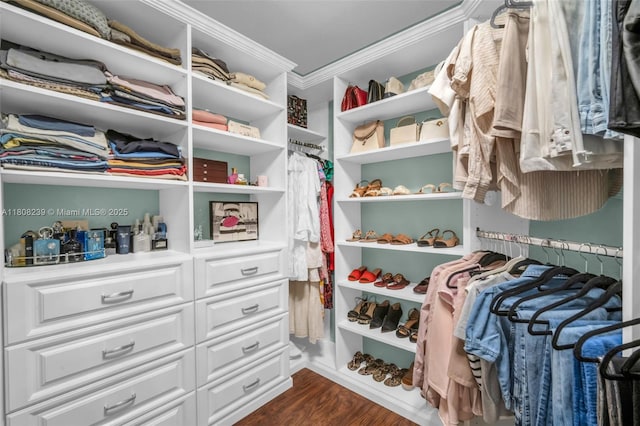 9003 Alexandra Cir, Wellington, FL 33414 - spacious closet with dark wood-style flooring