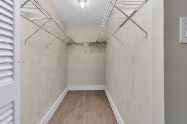 1904 S Ocean Dr Unit 1004, Hallandale Beach, FL 33009 - spacious closet with wood finished floors
