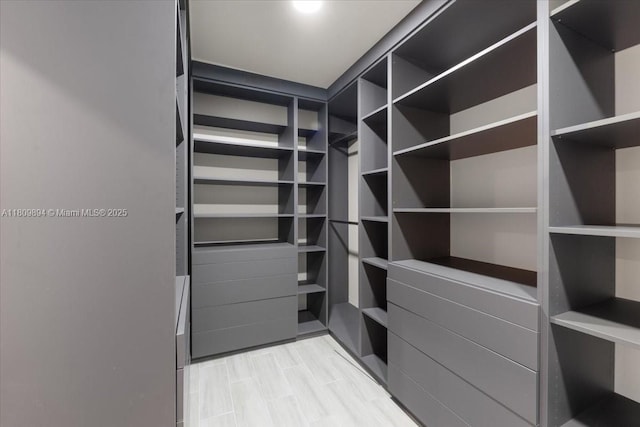 11505 NE 11th Pl, Biscayne Park, FL 33161 - view of spacious closet