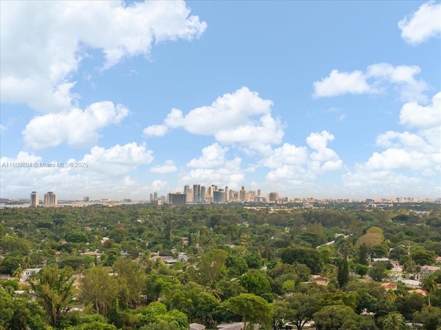 11505 NE 11th Pl, Biscayne Park, FL 33161 - view of city skyline