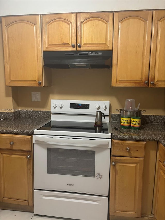 15428 SW 85th Ln Unit 159, Miami, FL 33193 - kitchen with electric stove and under cabinet range hood